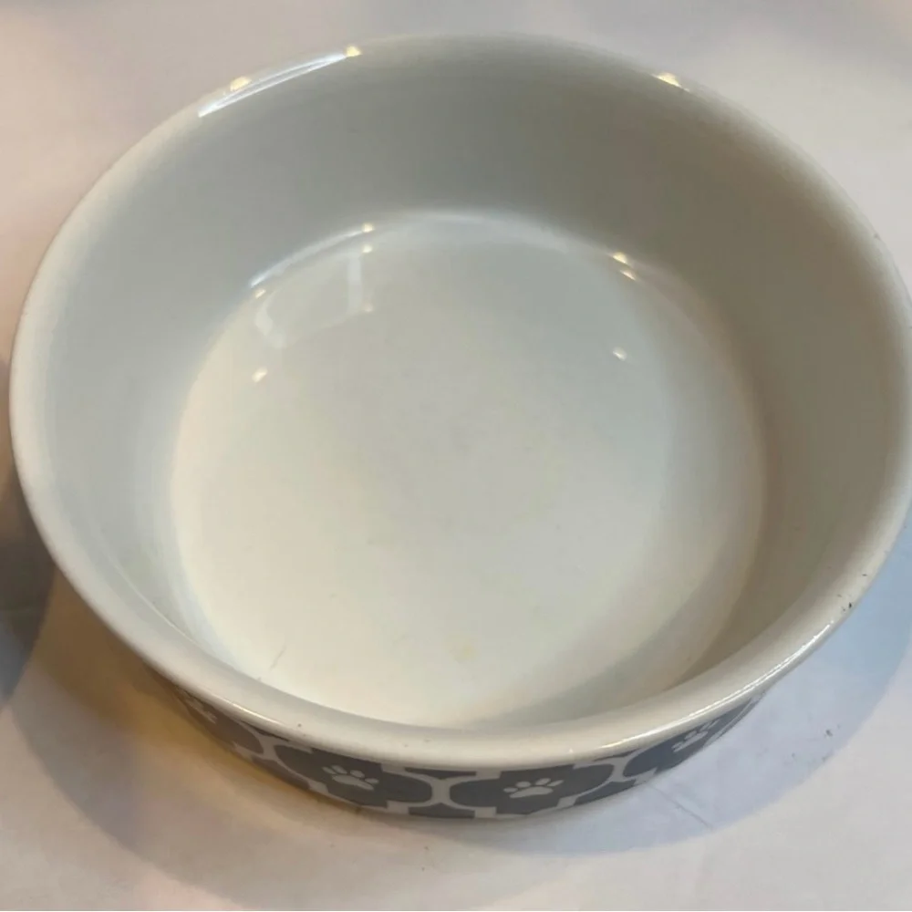 Bone Dry Ceramic Pet Feeding Dish Bowls Set of 2 Bundle